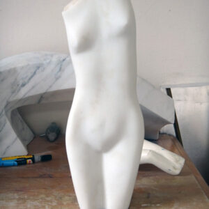 Torso_in_puro