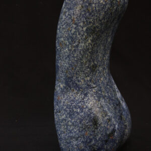 TorsoBlue